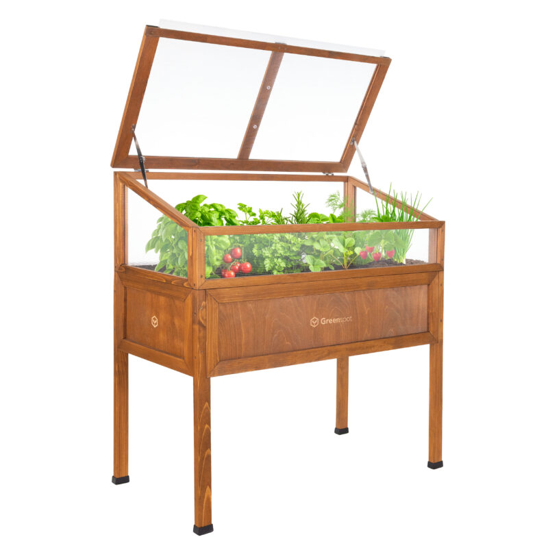 Mini szklarnia  Vintage